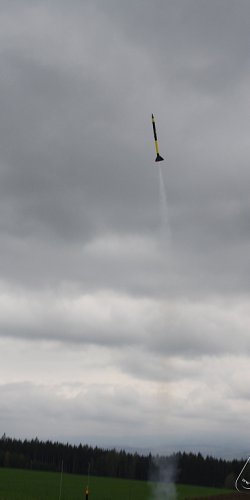 2013 Svojek Mirek Topinka